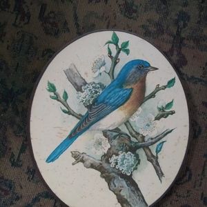Vintage Oval Robin picture